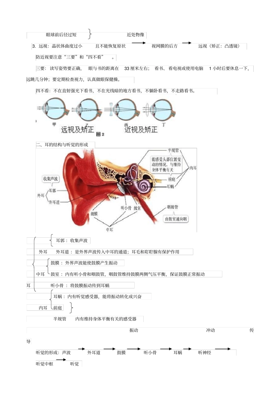 人教版2019届中考生物复习：人体通过神经系统和内分泌系统调节生命活动_知识点总结_第2页