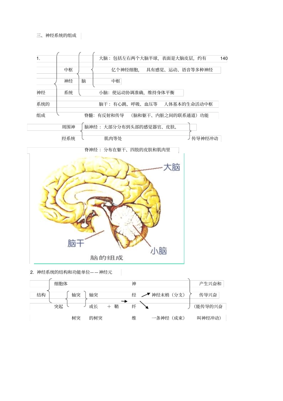 人教版2019届中考生物复习：人体通过神经系统和内分泌系统调节生命活动_知识点总结_第3页