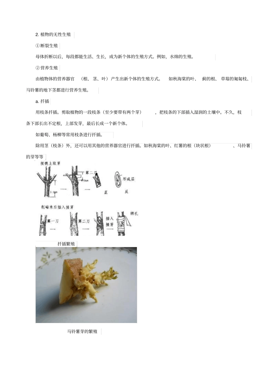 人教版2019届中考生物复习：植物的生殖_知识点总结_第2页