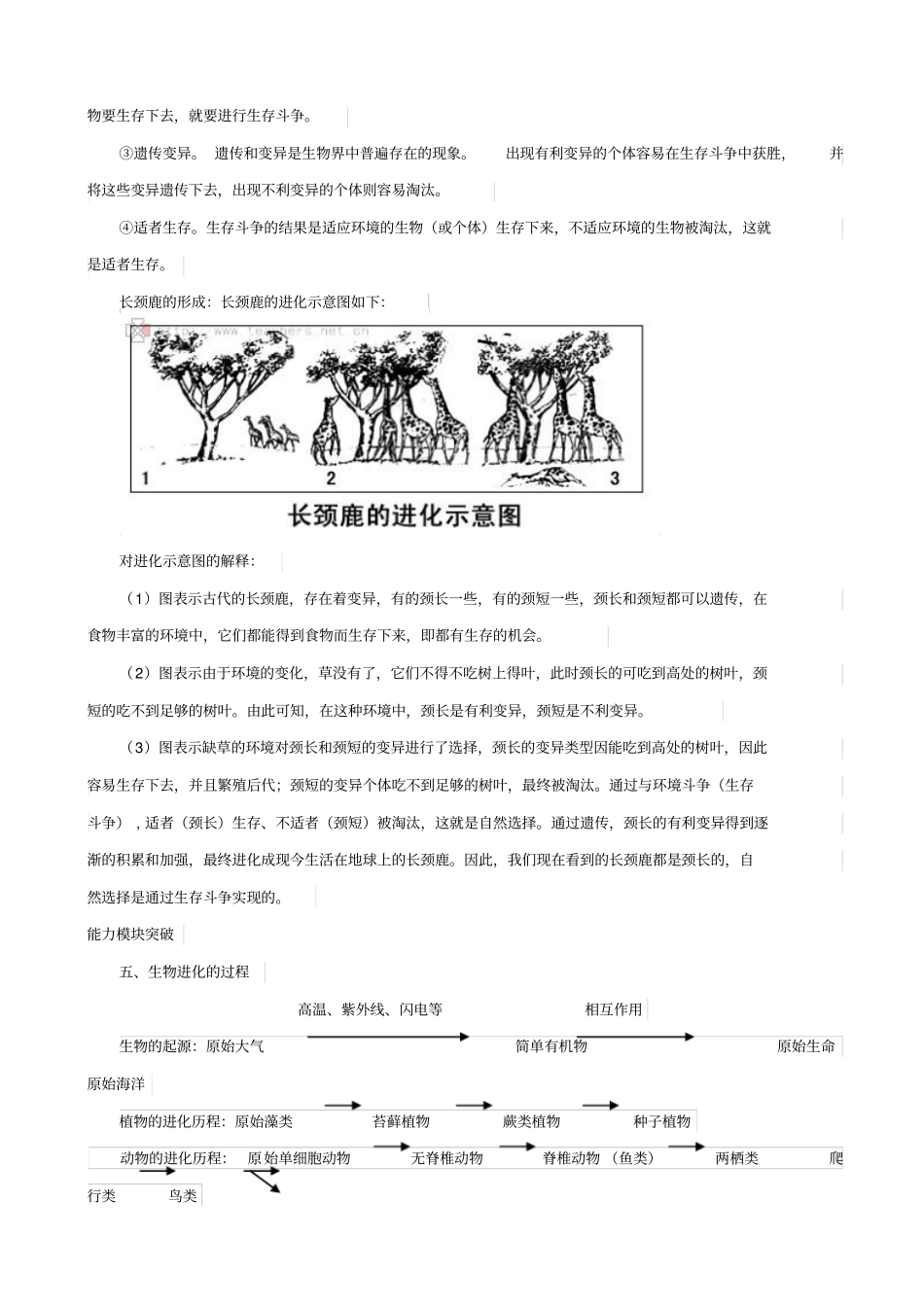 人教版2019届中考生物复习：生命的起源和生物的进化_知识点总结_第3页
