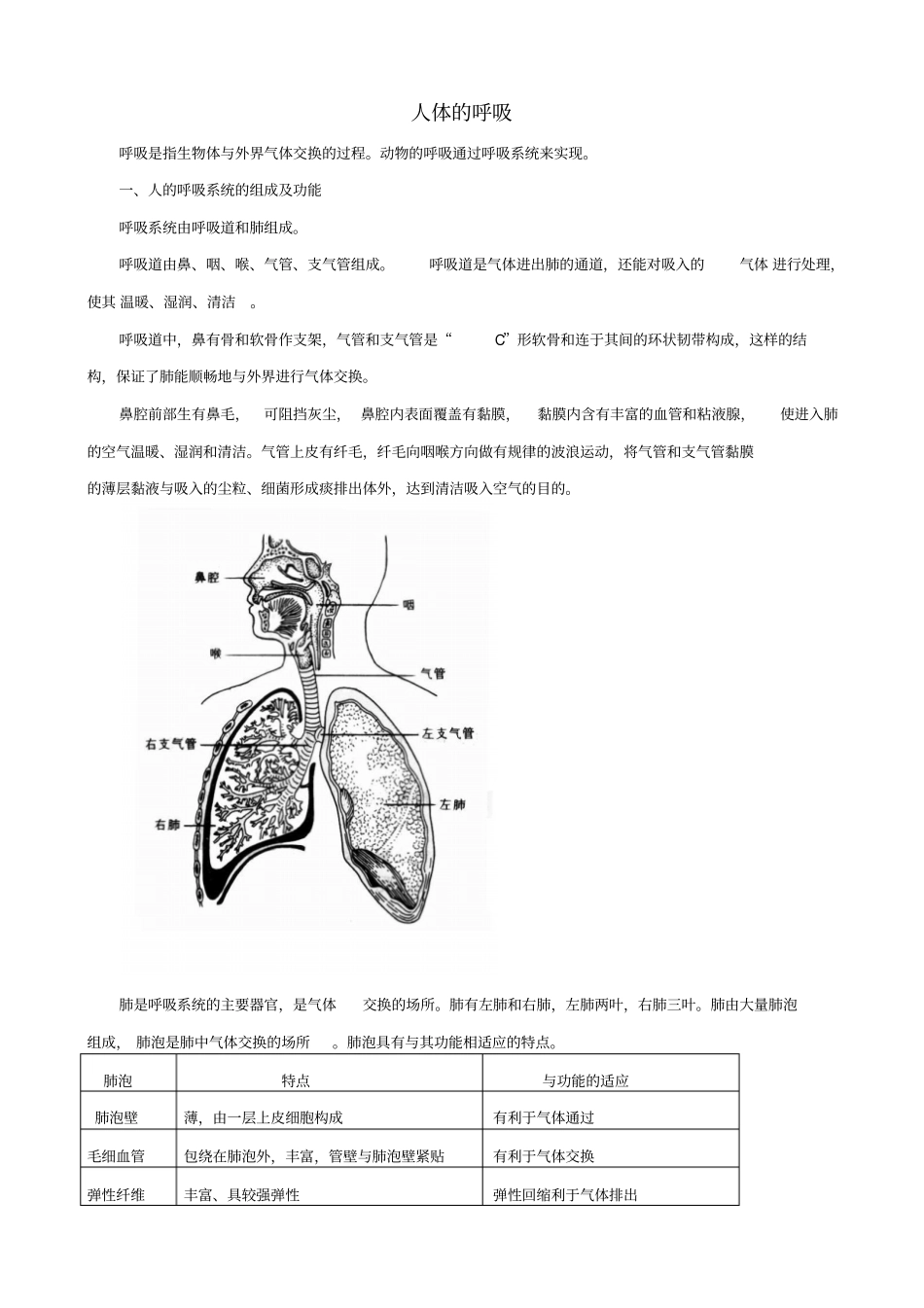人教版2019届中考生物复习：知识点梳理人体的呼吸_知识点总结_第1页