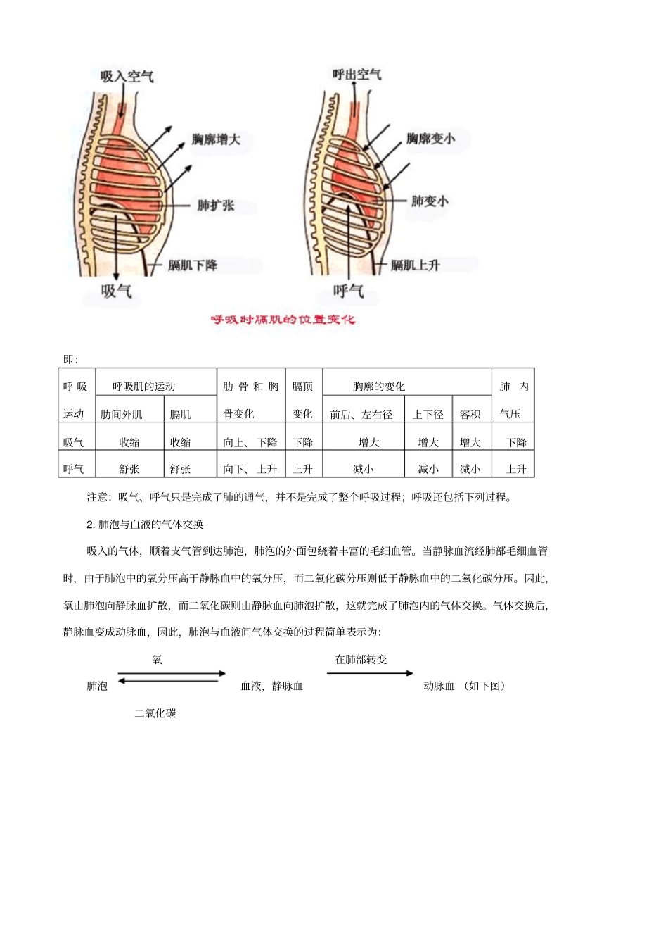人教版2019届中考生物复习：知识点梳理人体的呼吸_知识点总结_第3页