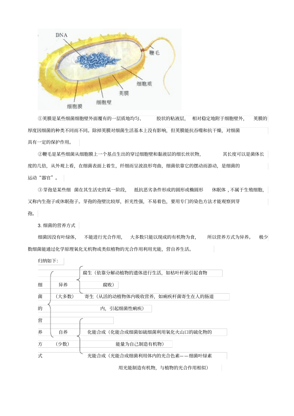 人教版2019届中考生物复习：细菌、真菌和病毒_知识点总结_第3页