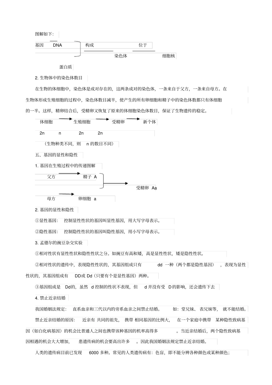 人教版2019届中考生物复习：生物的遗传和变异_知识点总结_第2页