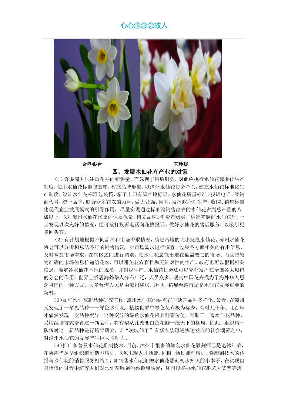 漳州花卉产业的发展_第3页