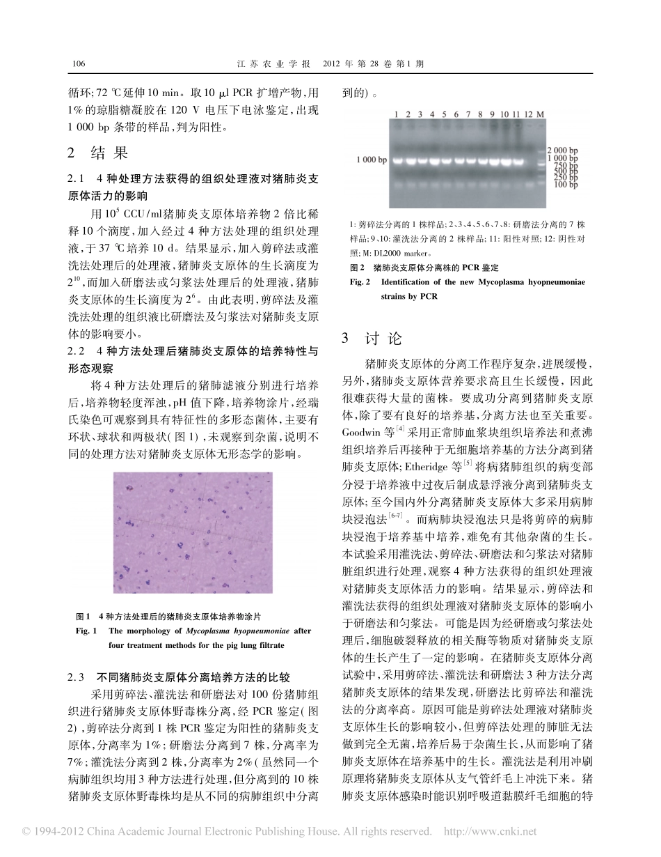 猪肺炎支原体的分离方法_第3页
