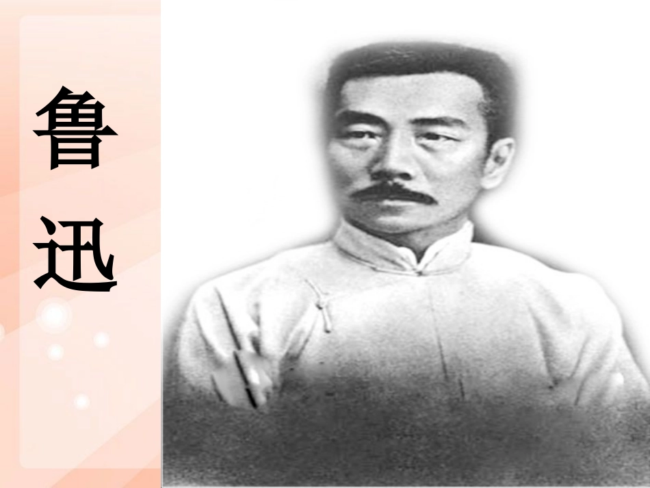 我国有一位大文豪_第2页