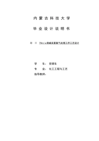 氯碱工艺氯气处理毕业设计(1)