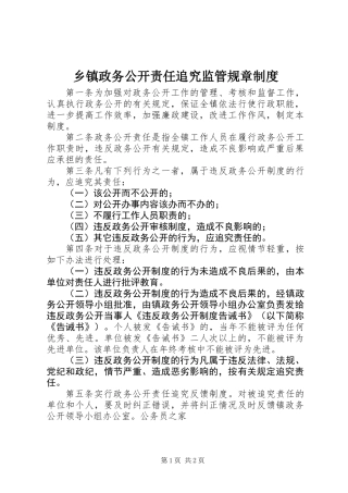 乡镇政务公开责任追究监管规章制度