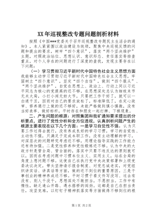 XX年巡视整改专题问题剖析材料