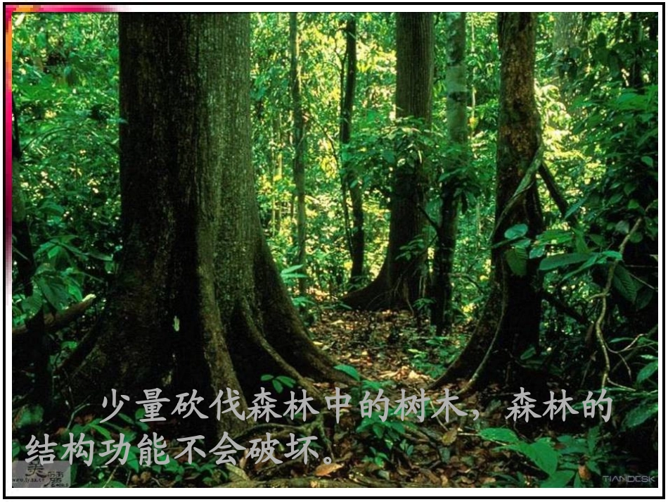 高二生物：必修3：5.5生态系统的稳定性(新)_第2页