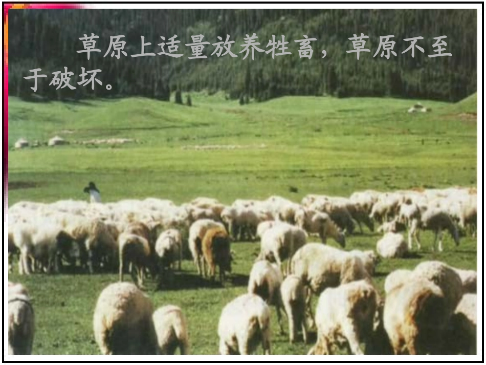 高二生物：必修3：5.5生态系统的稳定性(新)_第3页