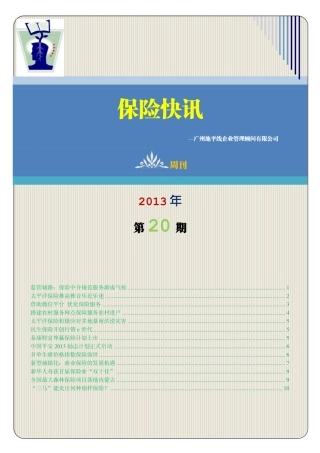 广州地平线保险快讯2013年第20期