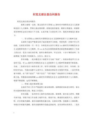 村党支部自查自纠报告 