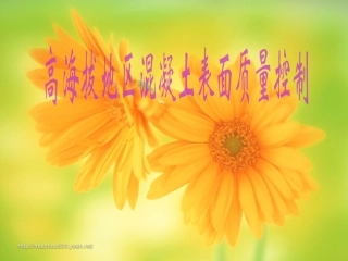 高海拔地区混凝土质量控制