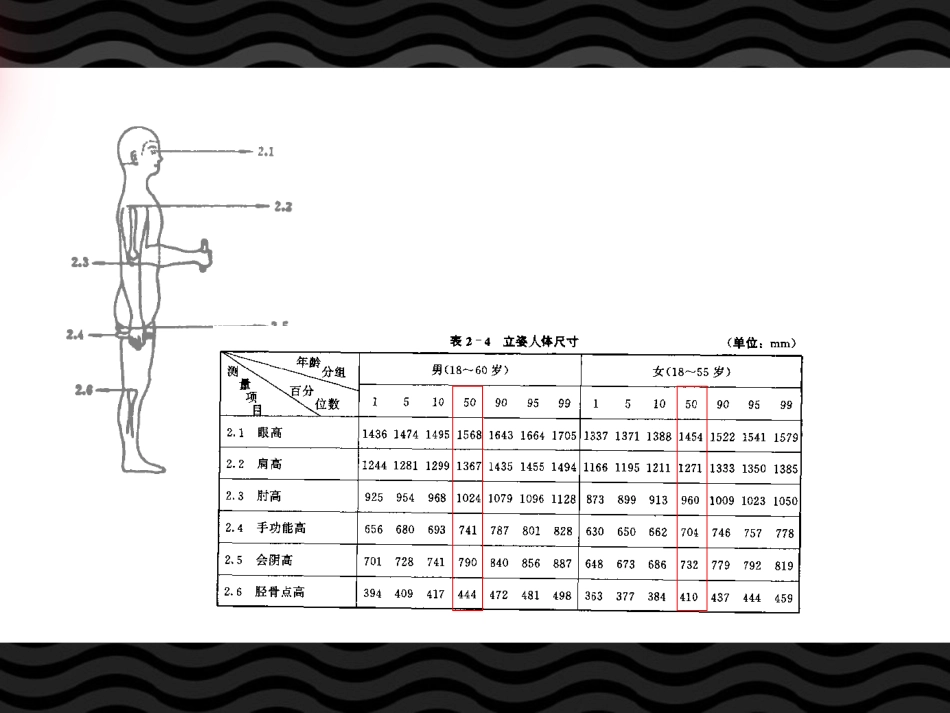 人体静态与动态尺寸_第2页