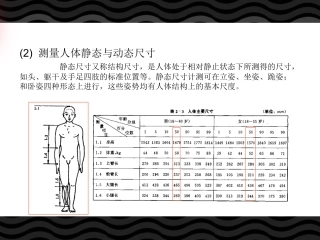 人体静态与动态尺寸