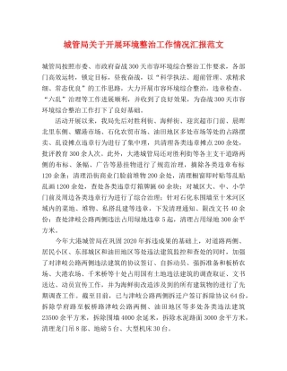 城管局关于开展环境整治工作情况汇报范文 