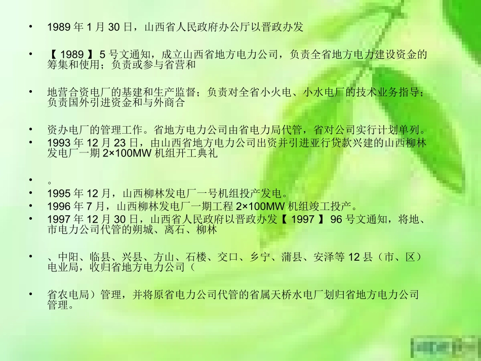 山西地方电力_第2页