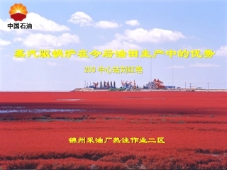 蒸汽驱锅炉在今后油田生产中的优势5