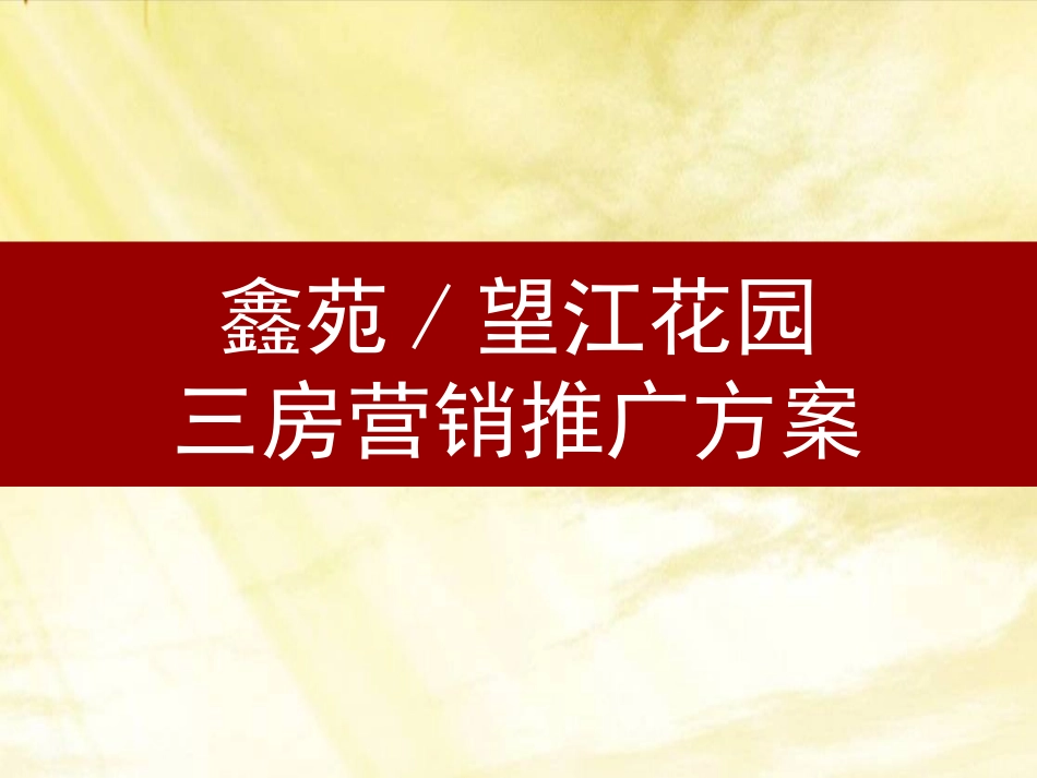 鑫苑望江花园三房营销推广方案2_第1页