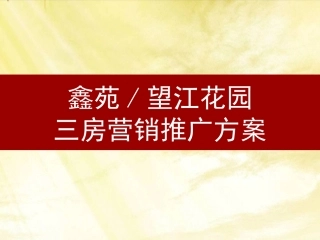 鑫苑望江花园三房营销推广方案2