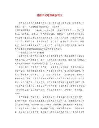 村副书记述职报告范文 