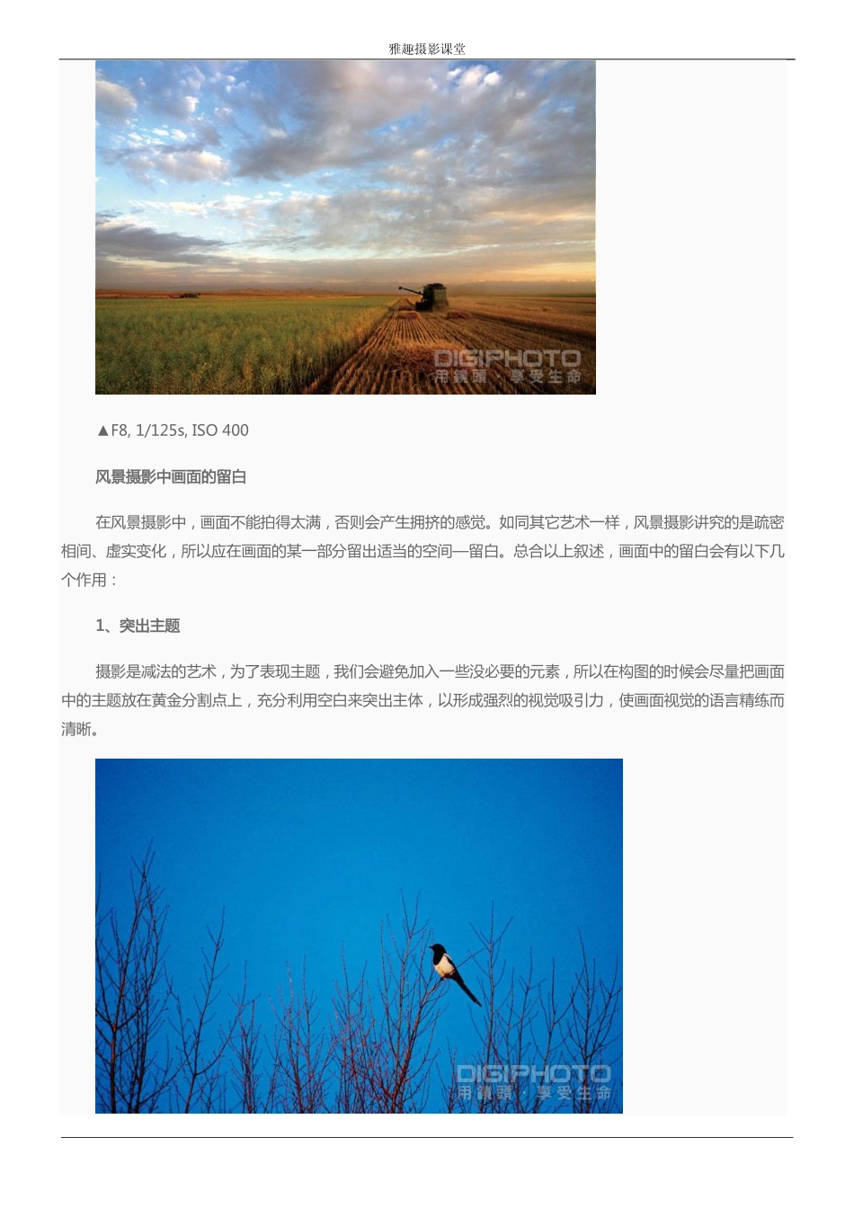 风景摄影构图技巧：寻找趣味点_第2页