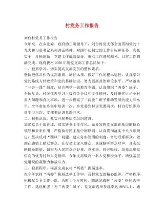 村党务工作报告 
