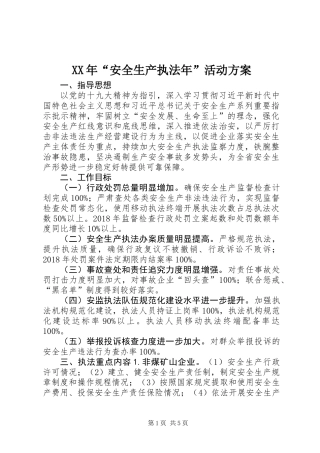 XX年“安全生产执法年”活动方案