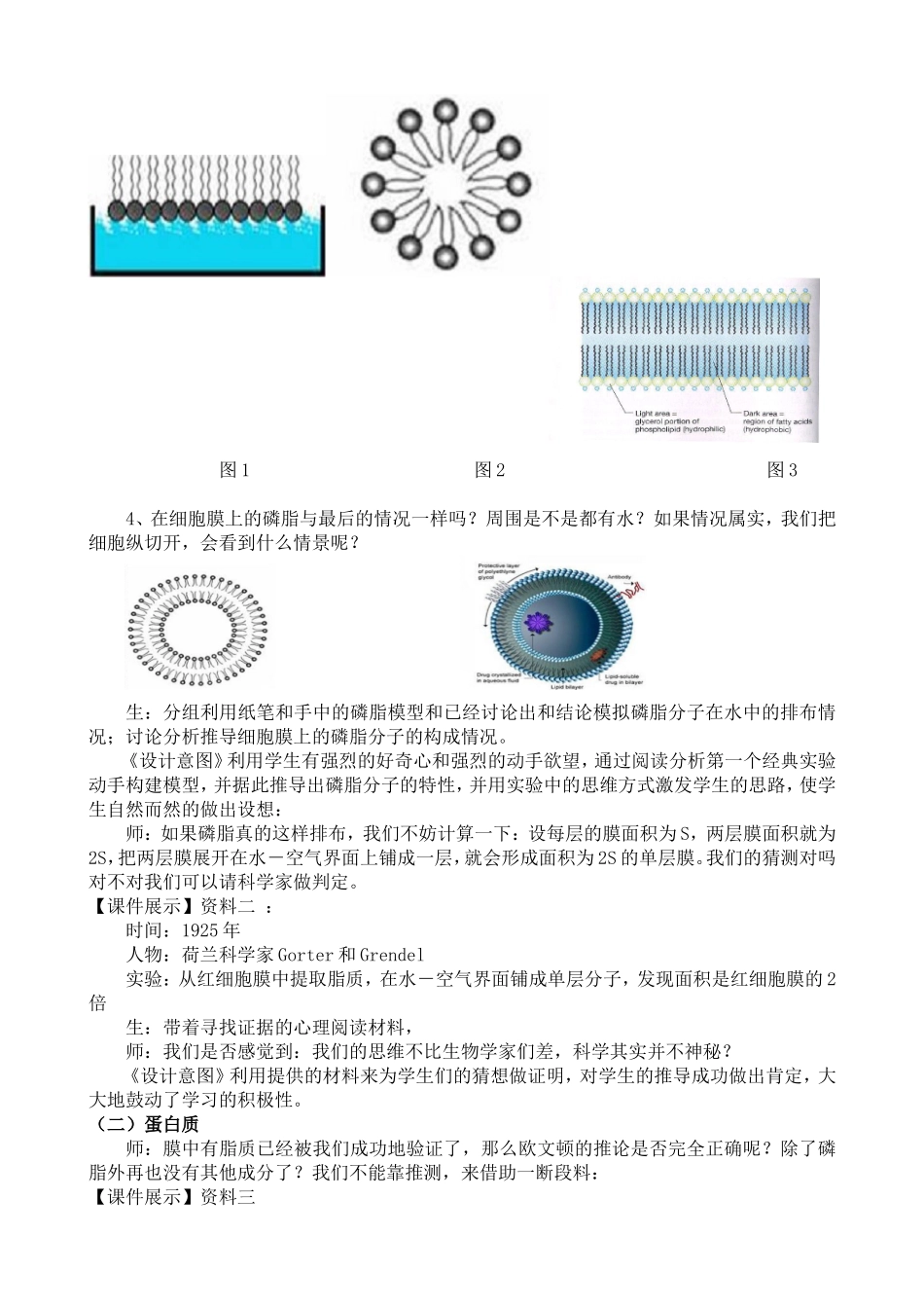 高中生物优秀课例--生物膜的流动镶嵌模型_第3页