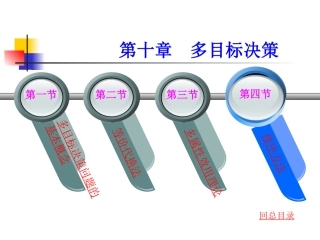 第十章 多目标决策