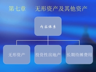 第七章  无形资产及其他资产