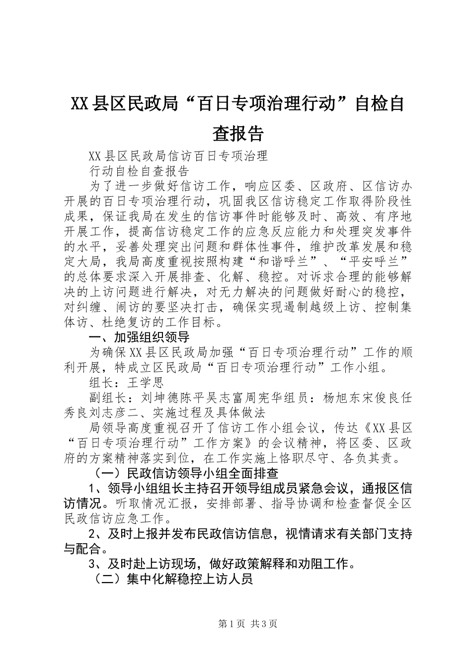 XX县区民政局“百日专项治理行动”自检自查报告_第1页