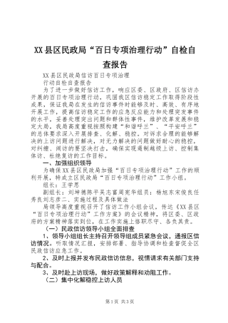 XX县区民政局“百日专项治理行动”自检自查报告