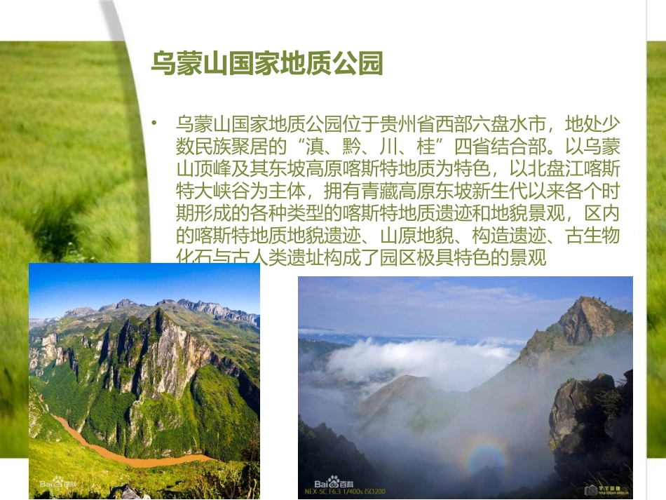 贵州省植物造景特色。_第3页