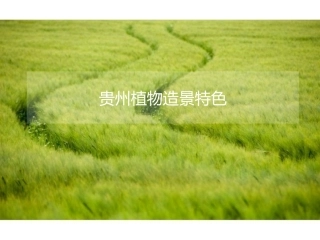 贵州省植物造景特色。