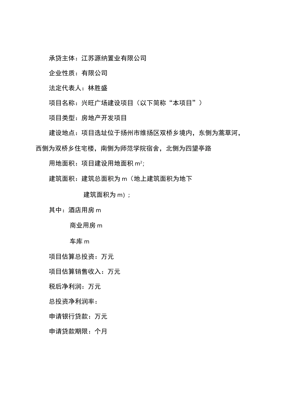 项目贷款评估报告_第2页