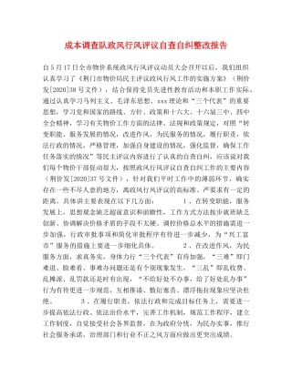 成本调查队政风行风评议自查自纠整改报告 