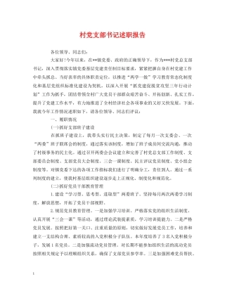 村党支部书记述职报告 (2) 
