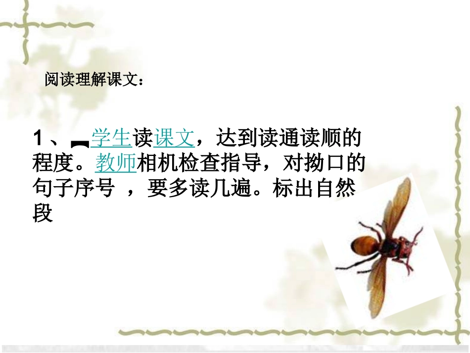 捅马蜂窝第二课时_第3页