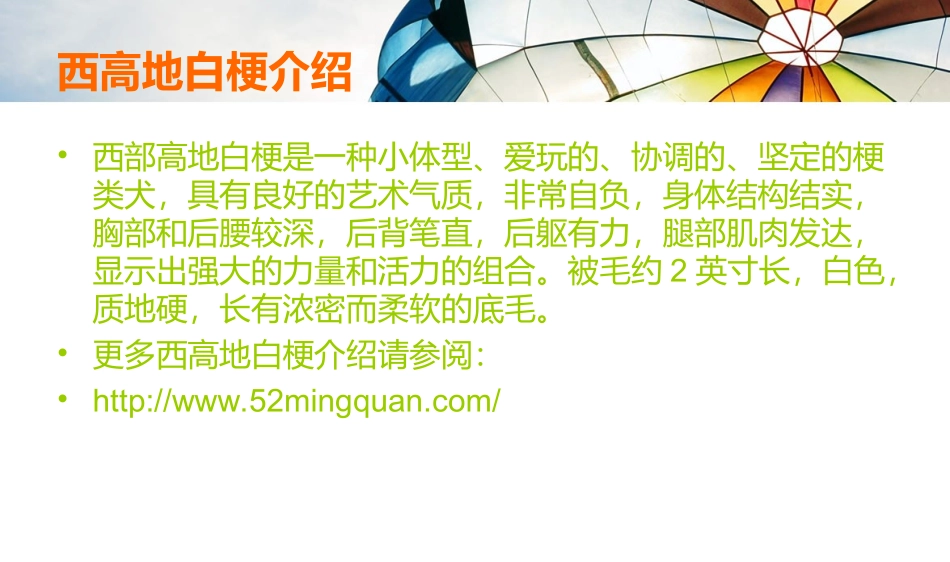 如何挑选西高地白梗_第2页