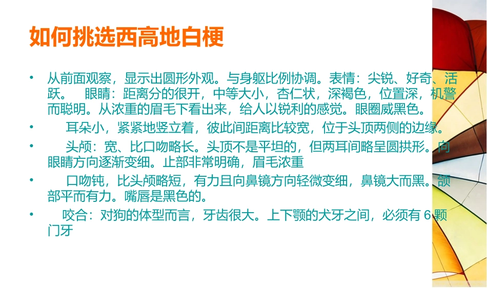 如何挑选西高地白梗_第3页