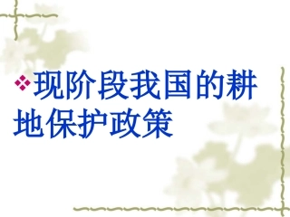 耕地保护政策
