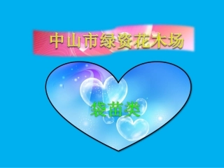 绿化苗木,园林绿化,广东花木之银边山菅兰,硬枝黄蝉,玉龙草,栀子花介绍