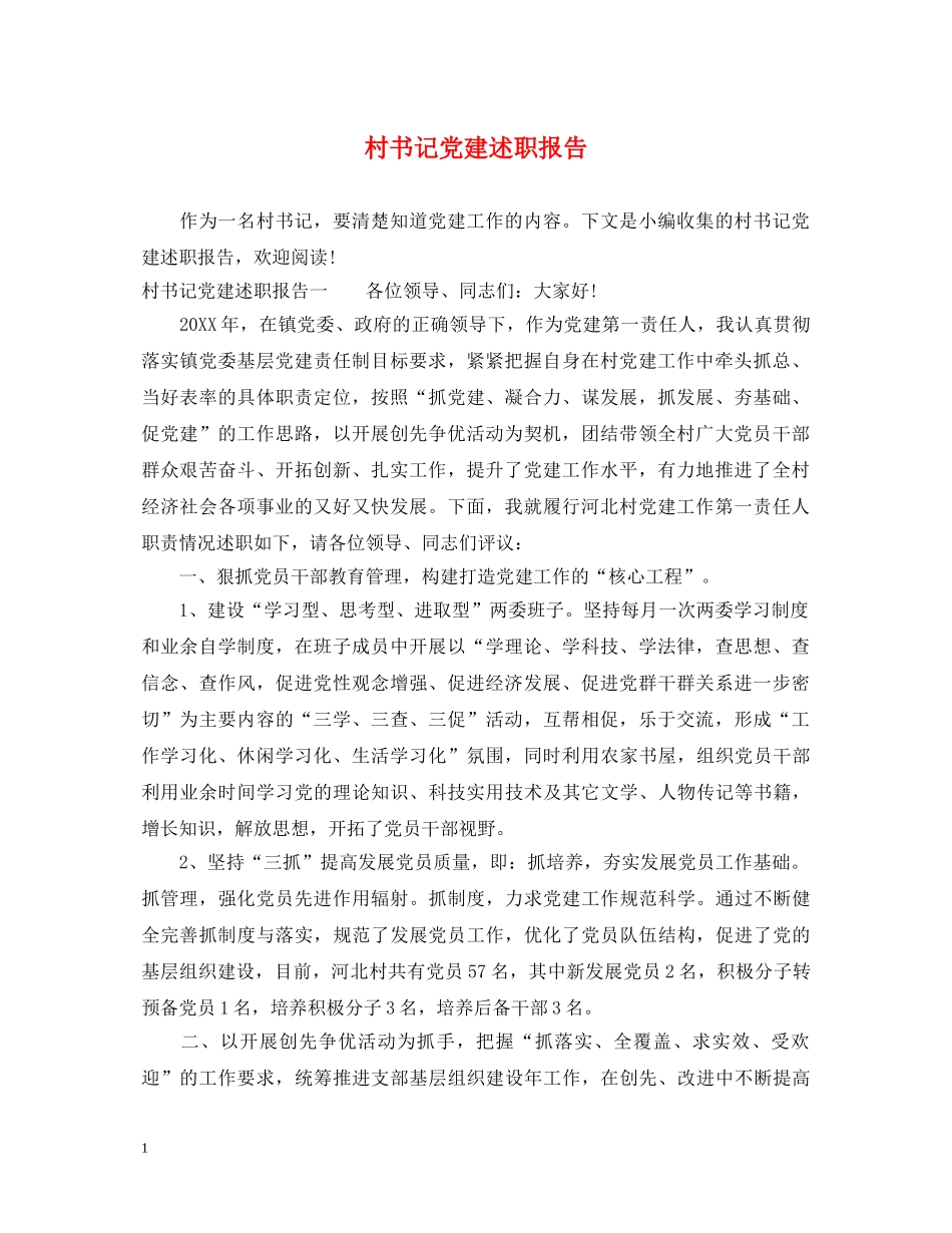 村书记党建述职报告 _第1页
