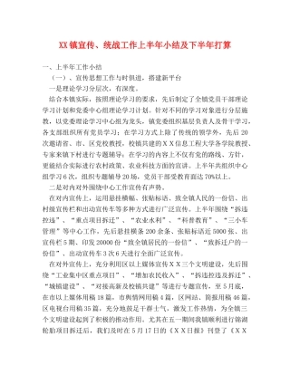 XX镇宣传、统战工作上半年小结及下半年打算 