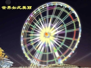 旋转__华师大版