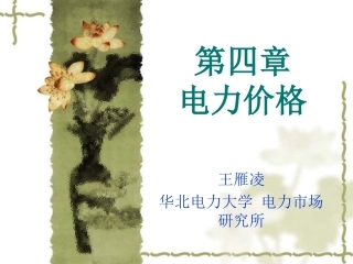 第四章 电力价格