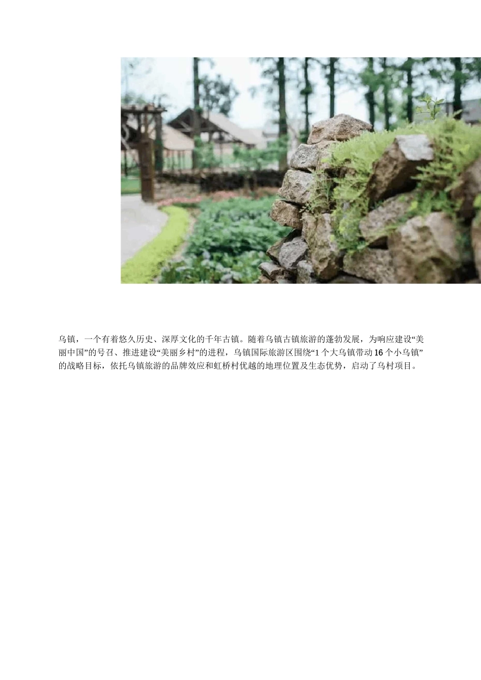 乡村旅游开发乌村_第1页